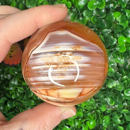 Carnelian Orca Sphere