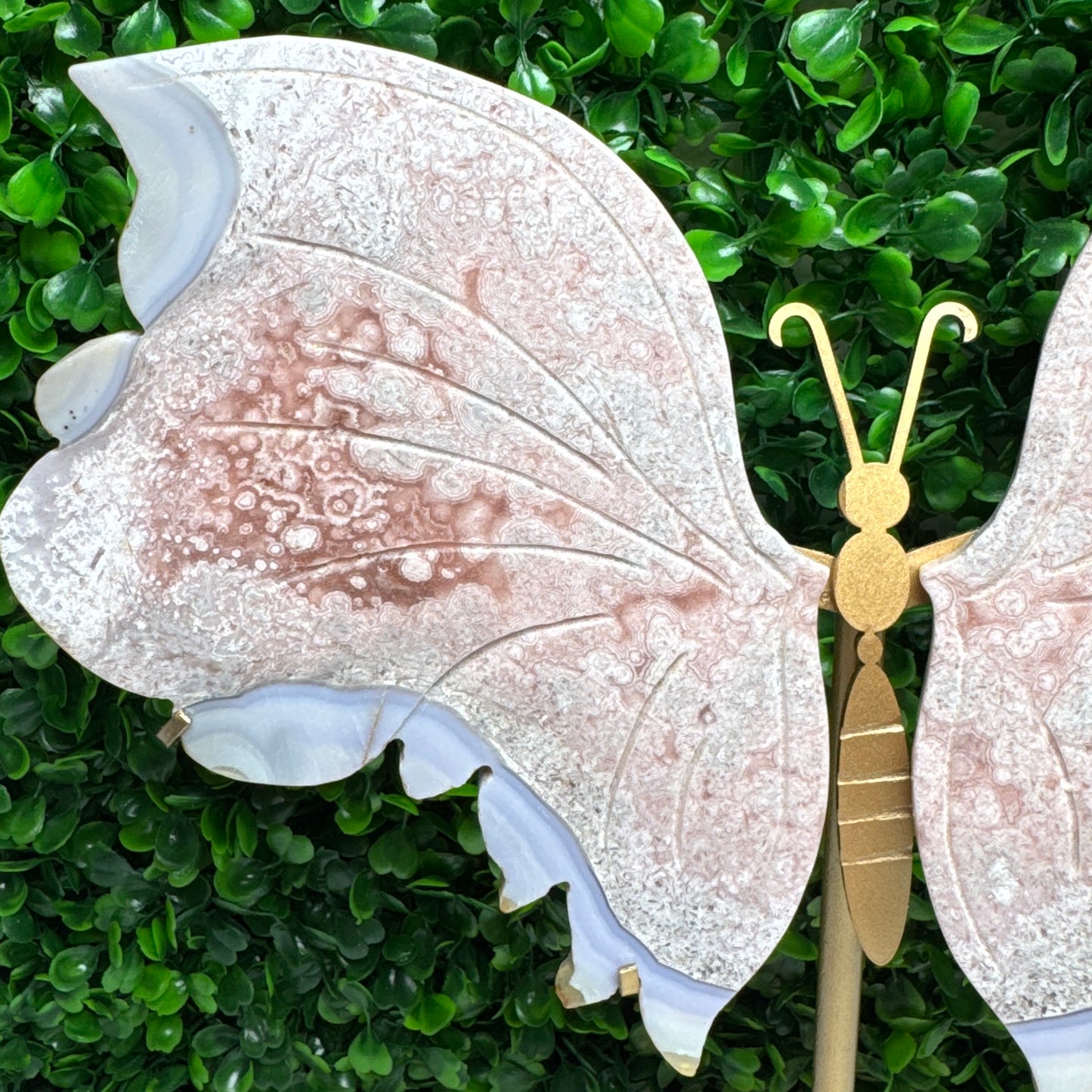 Statement Pink Amethyst Wings