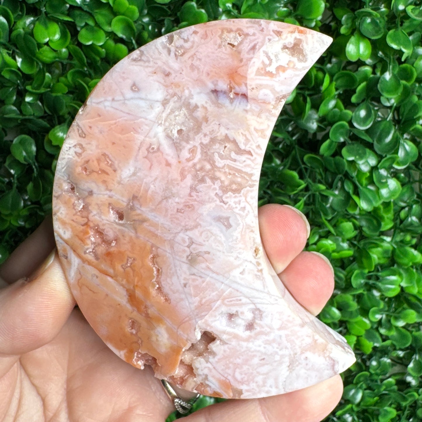 Pink plume moon carving