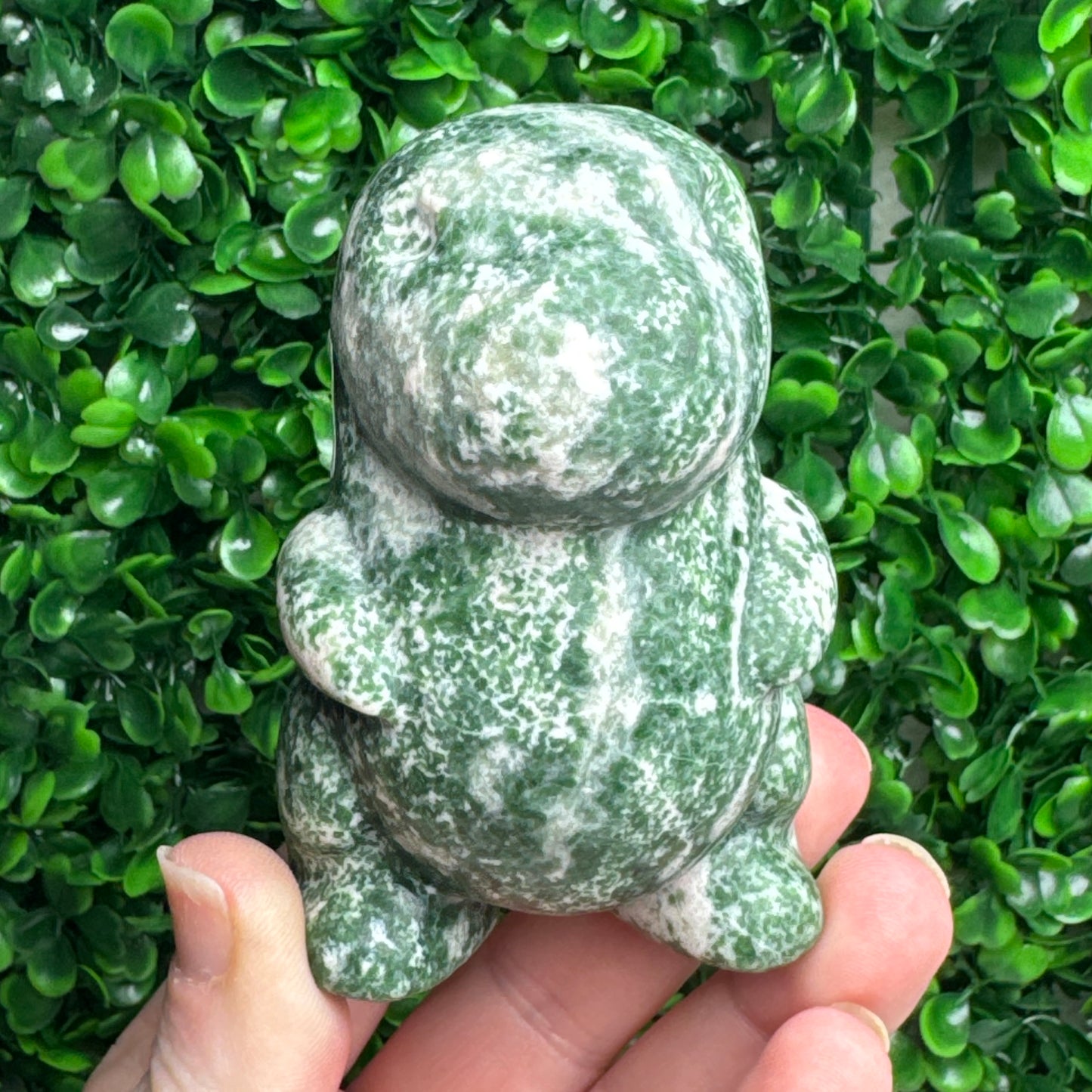 Large Tree Agate Chubby Dino