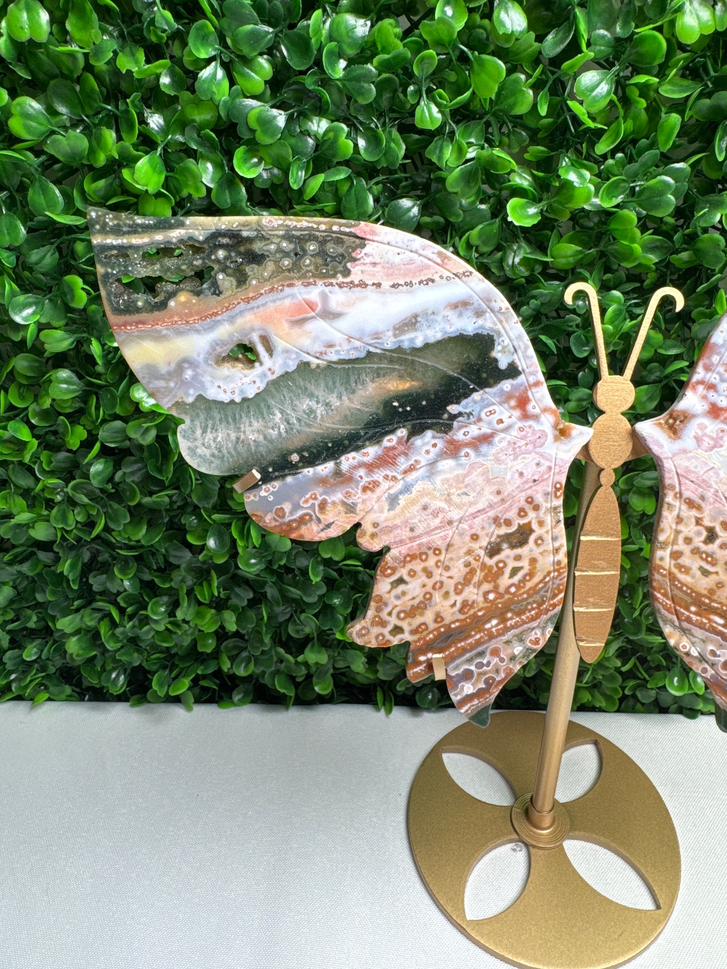 Statement Sea Jasper Wings Carvings