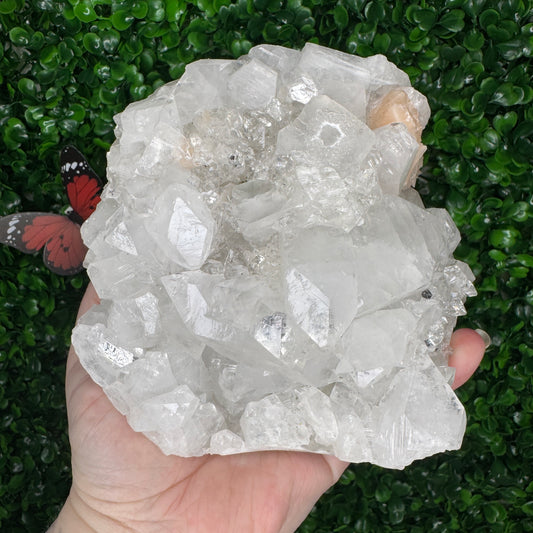 Large Apophylite Specimen