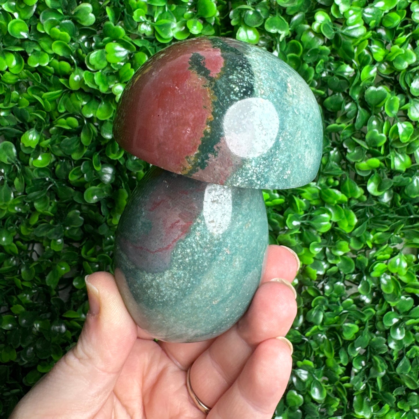 Sea Jasper mushroom Carvings