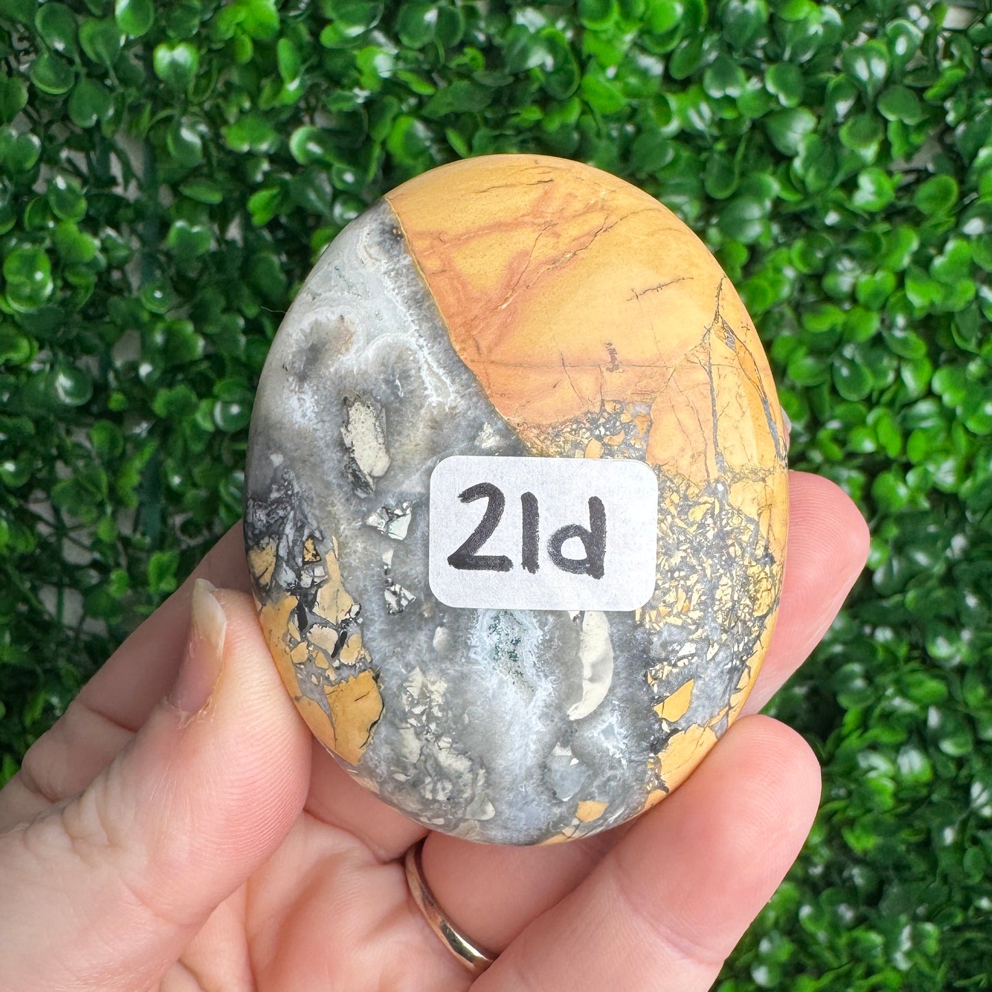 Maligano Jasper Palmstones