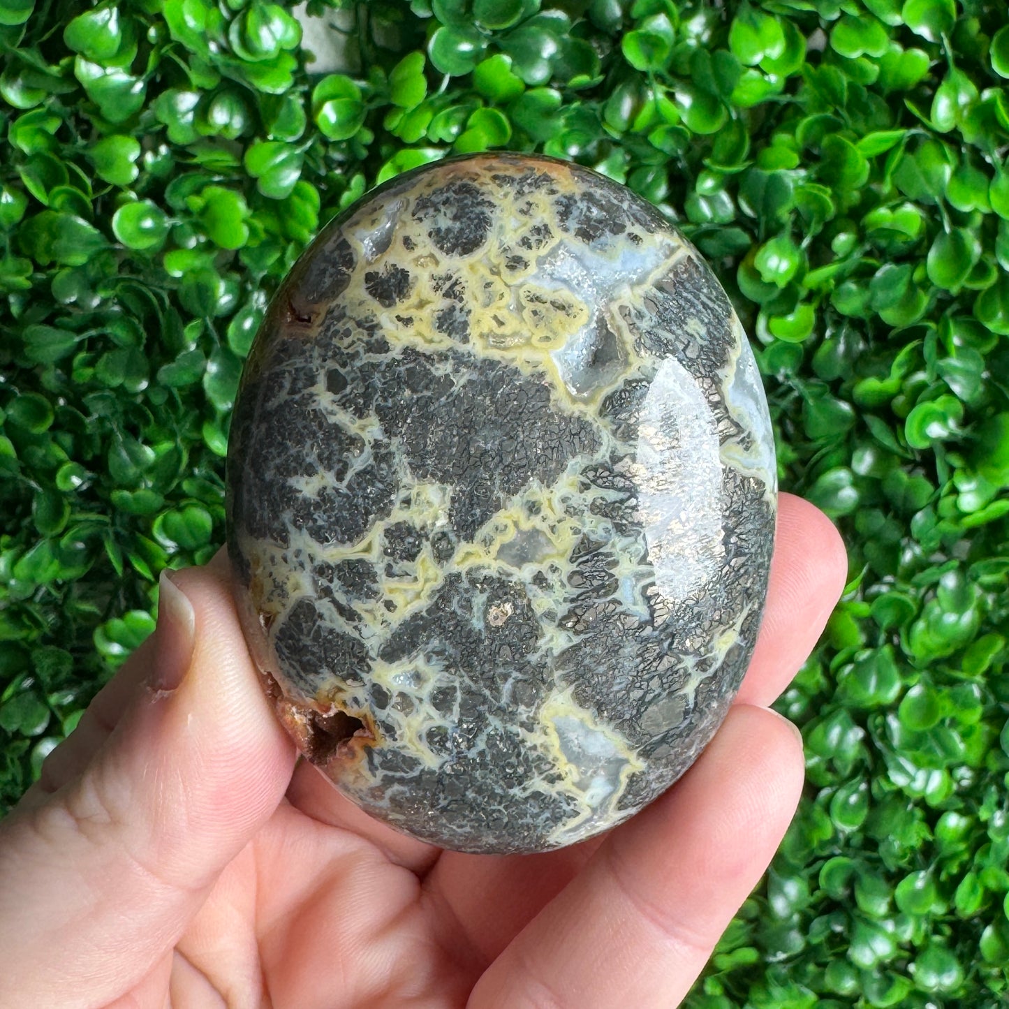 Marcasite Palm Stones