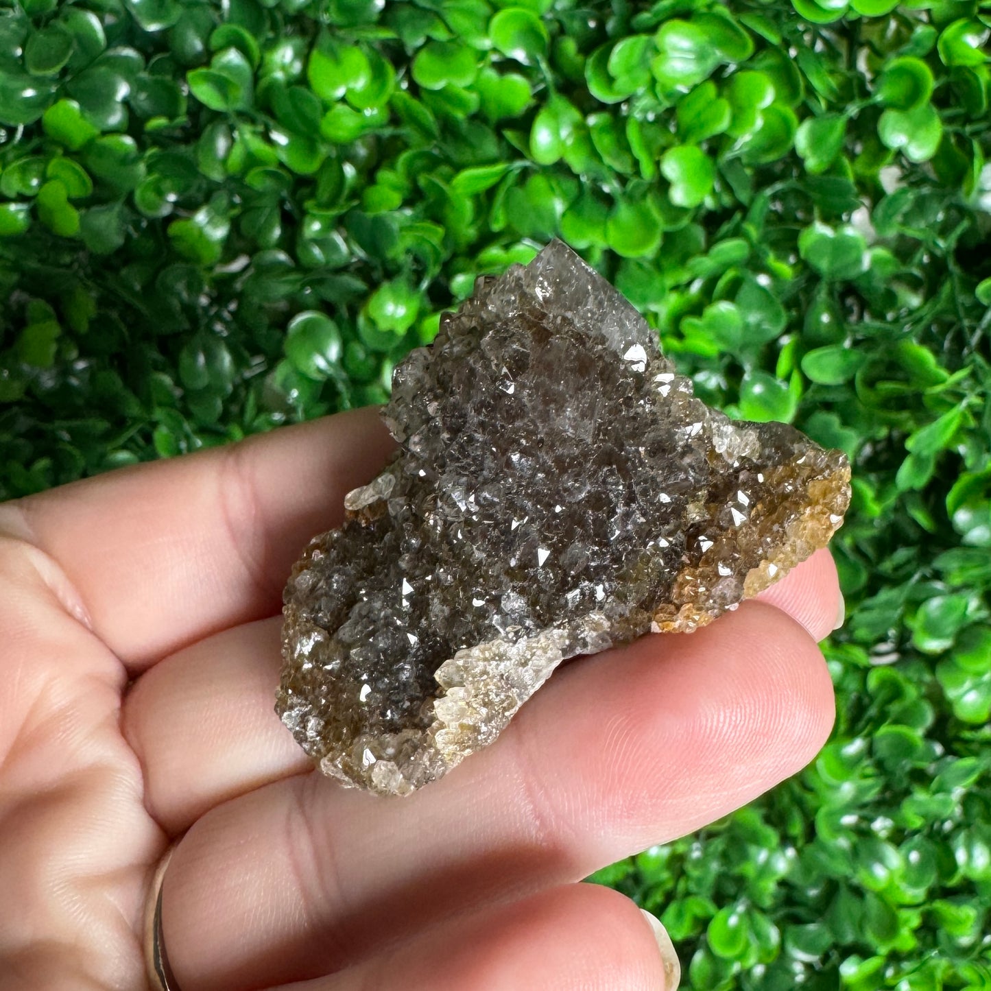 Black Spirit Quartz