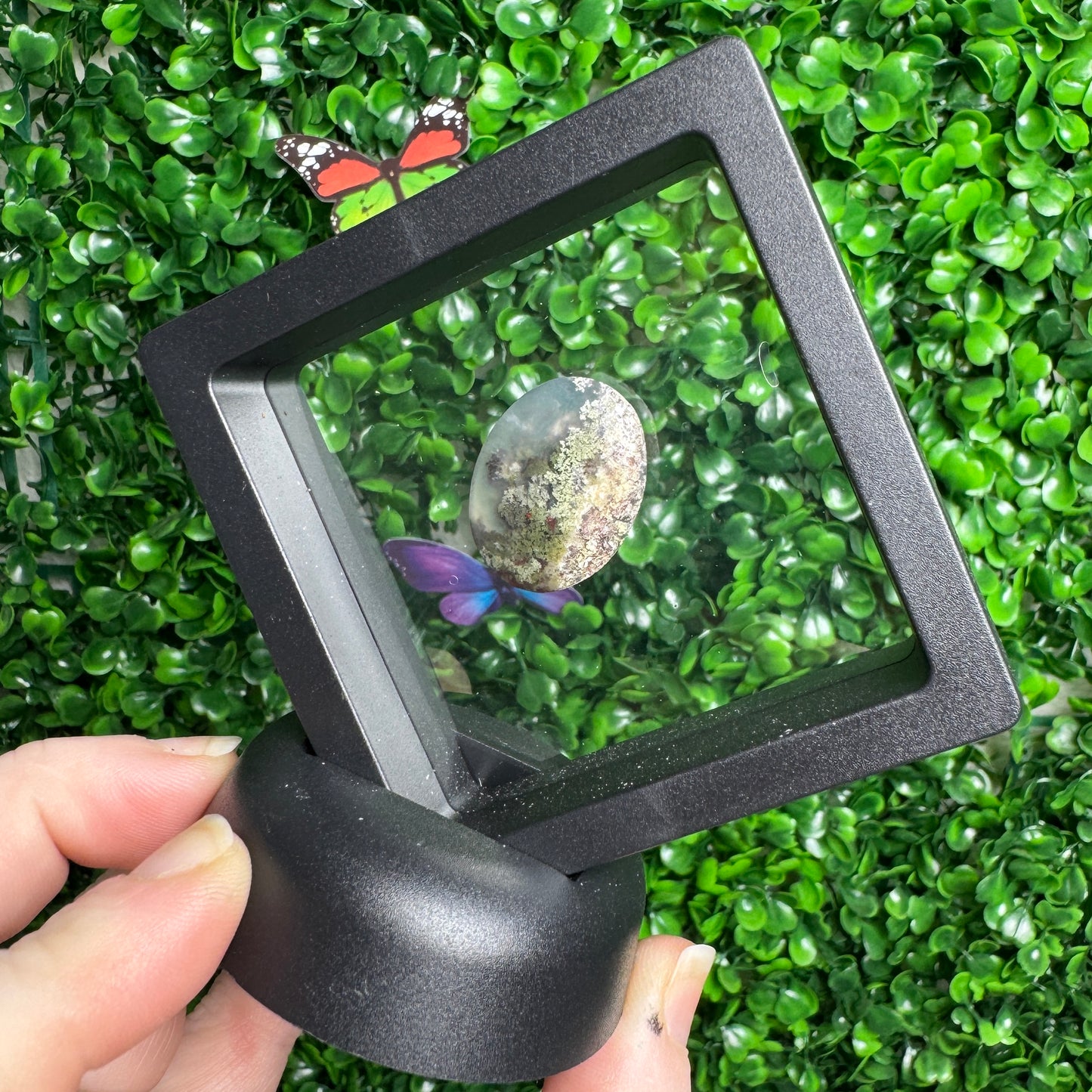 Garden Quartz Cab