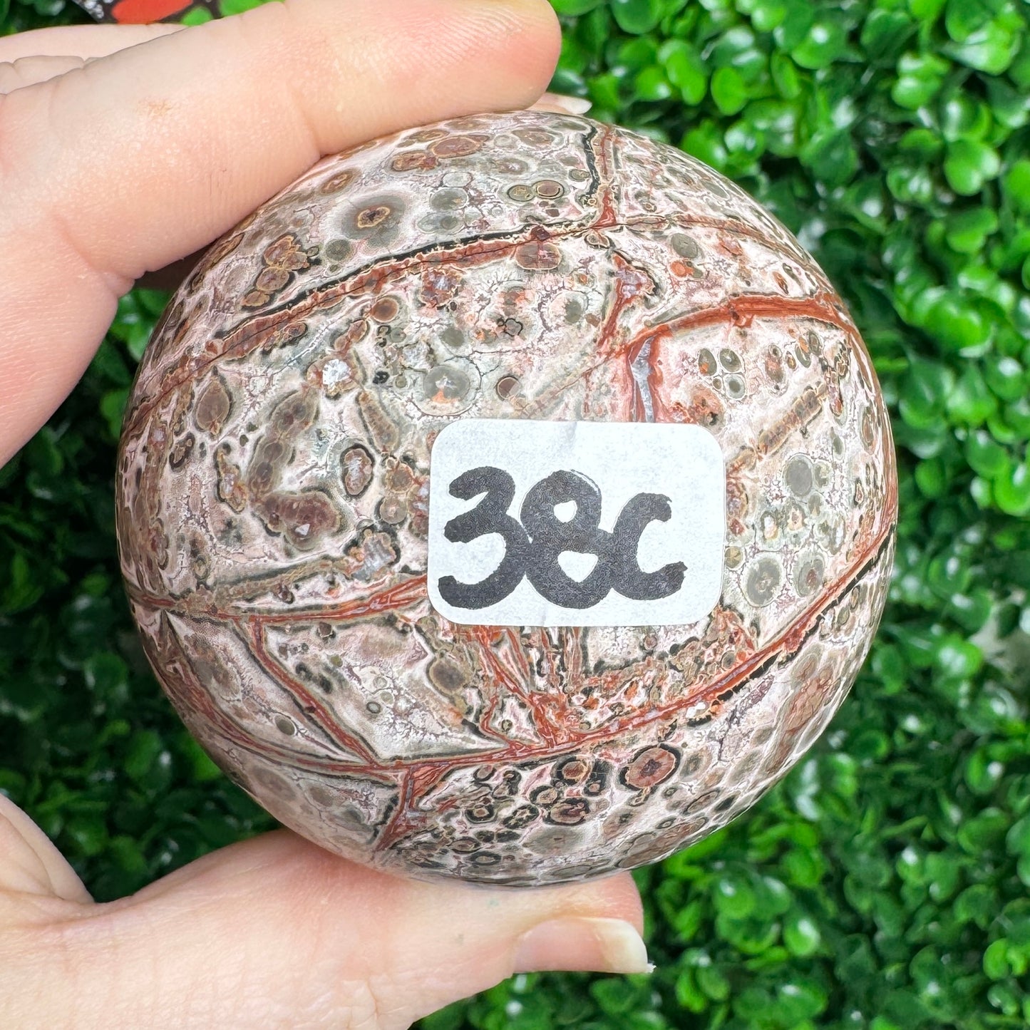 Leopard Skin Jasper Spheres