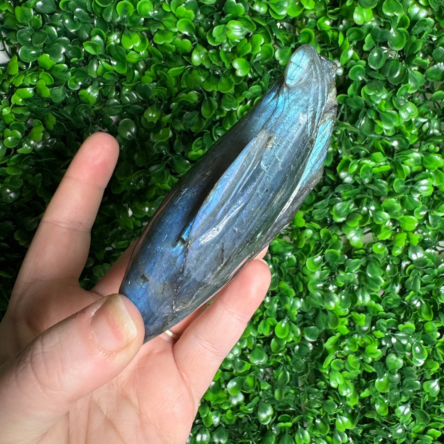 Labradorite Dolphin Carving