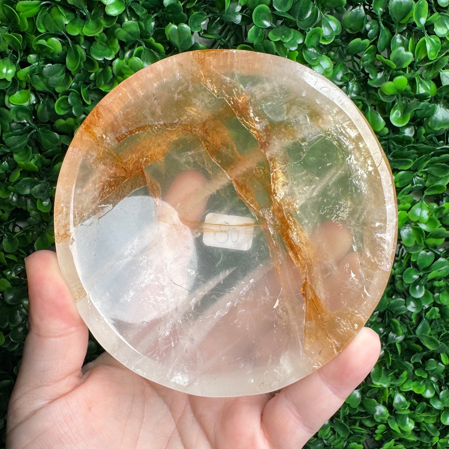 Golden Healer Bowls