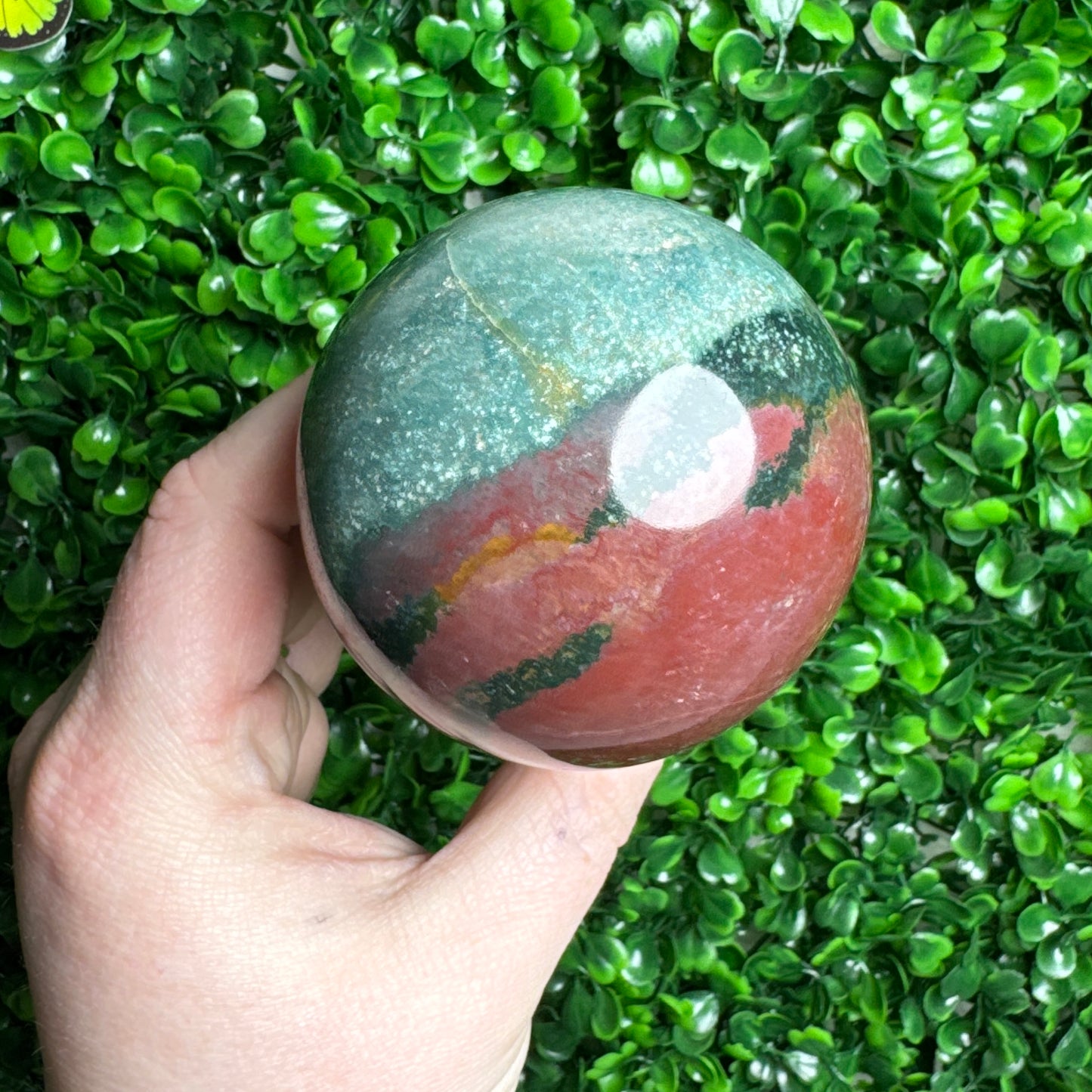 Sea Jasper mushroom Carvings