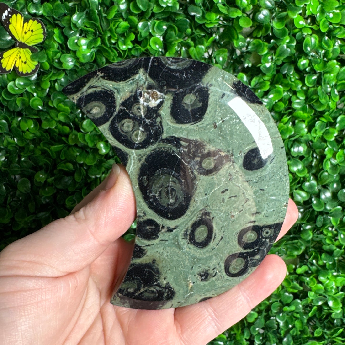 Kambaba Jasper Moon Carvings