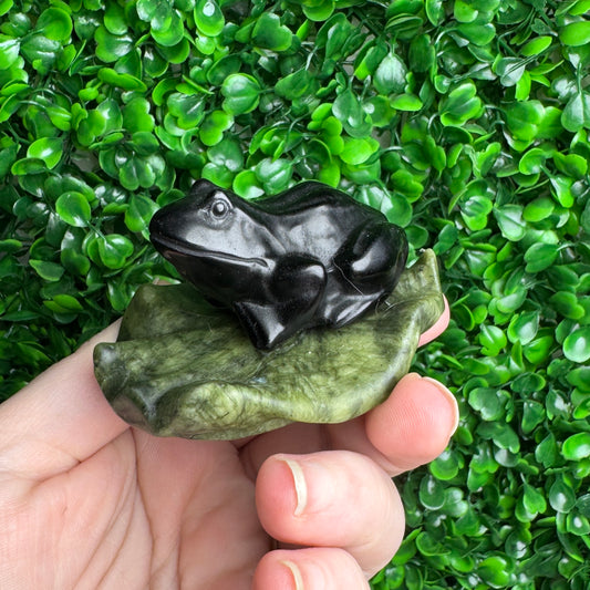 Black obsidian frog on a lili pad