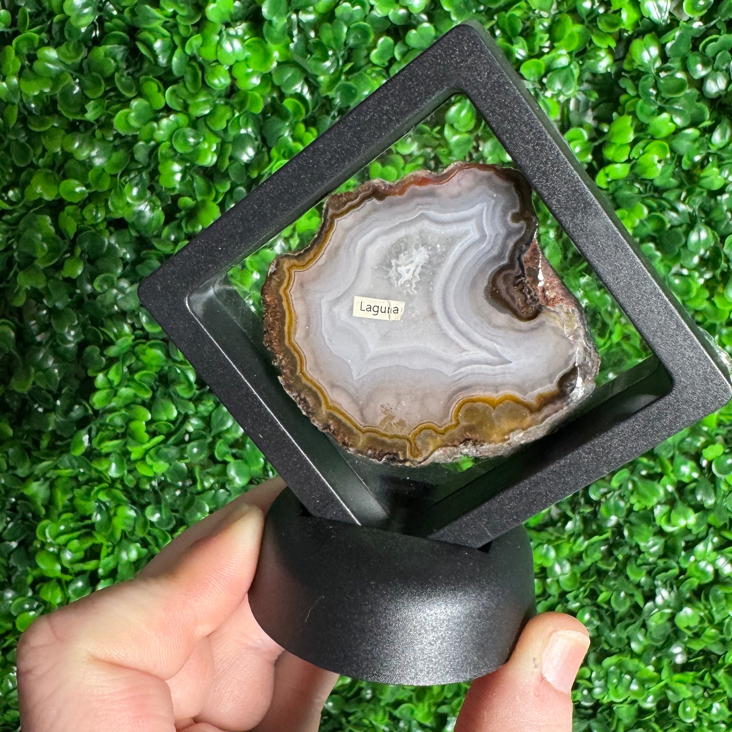 Laguna agate