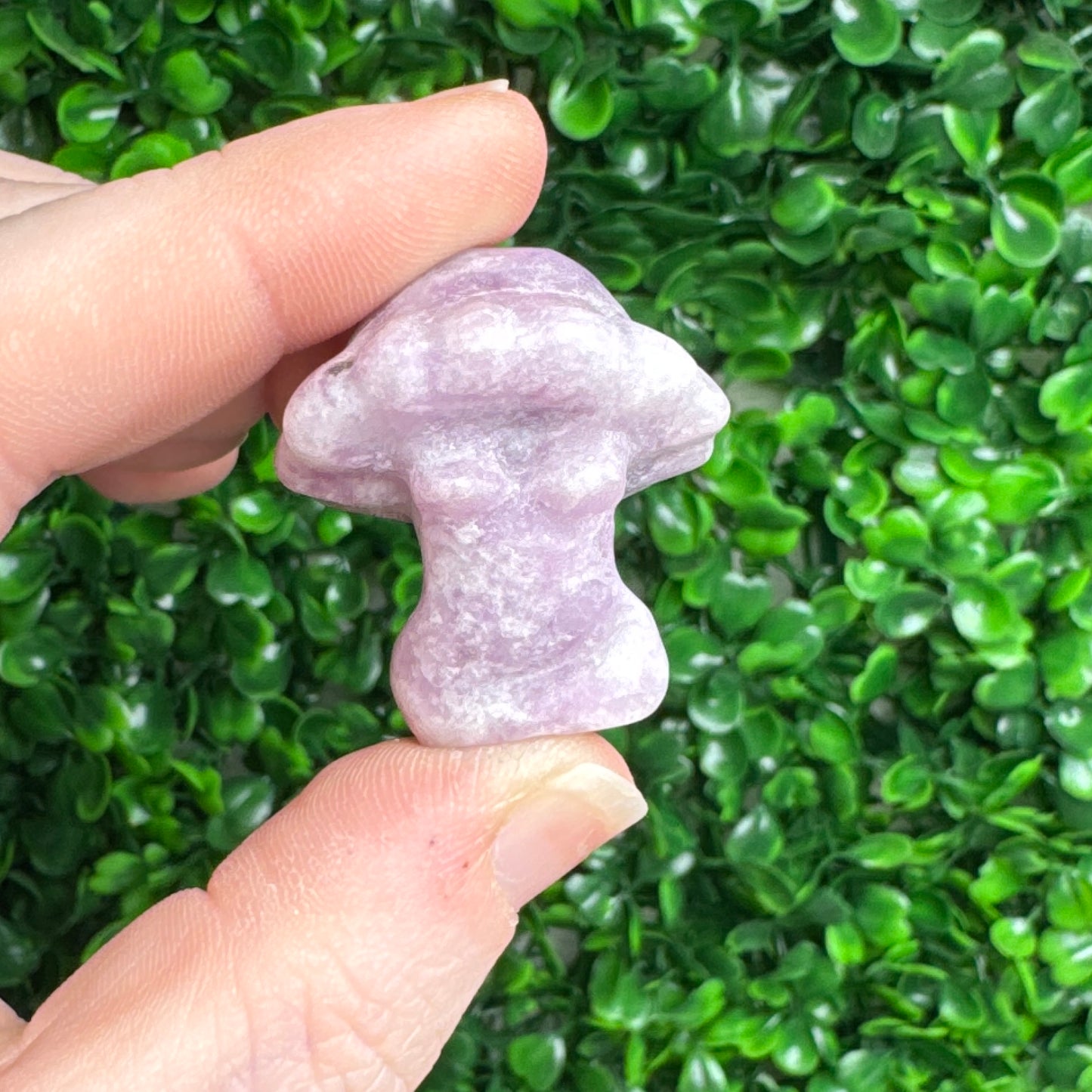 Mini Muhsroom Lady bodies