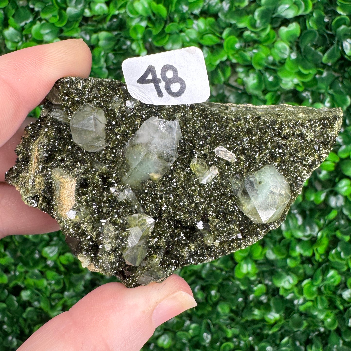 Epidote with Quartz from Turkey