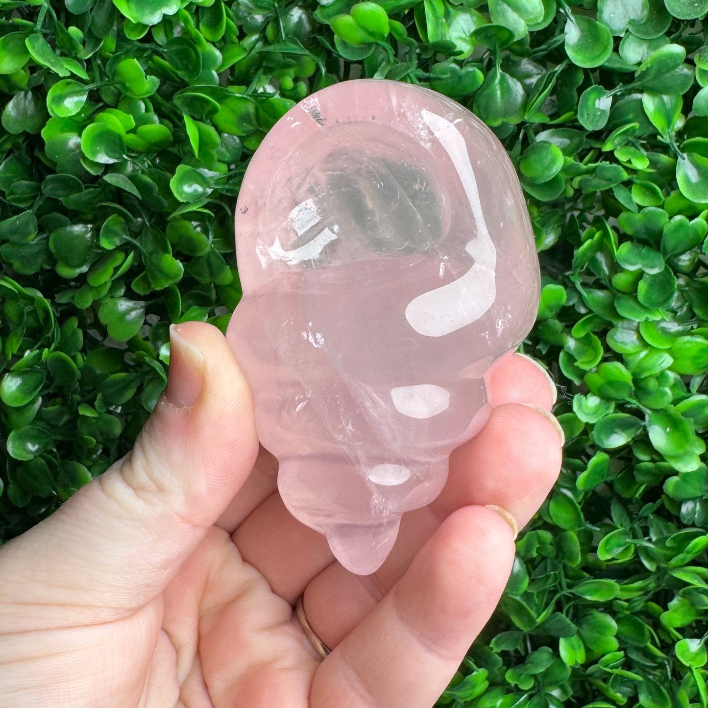 Rose Quartz Sea Shell Carving