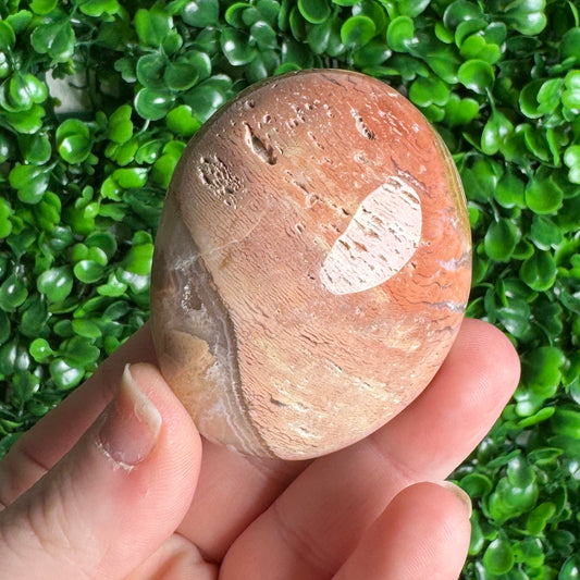 Pink ibis Jasper Palm Stone
