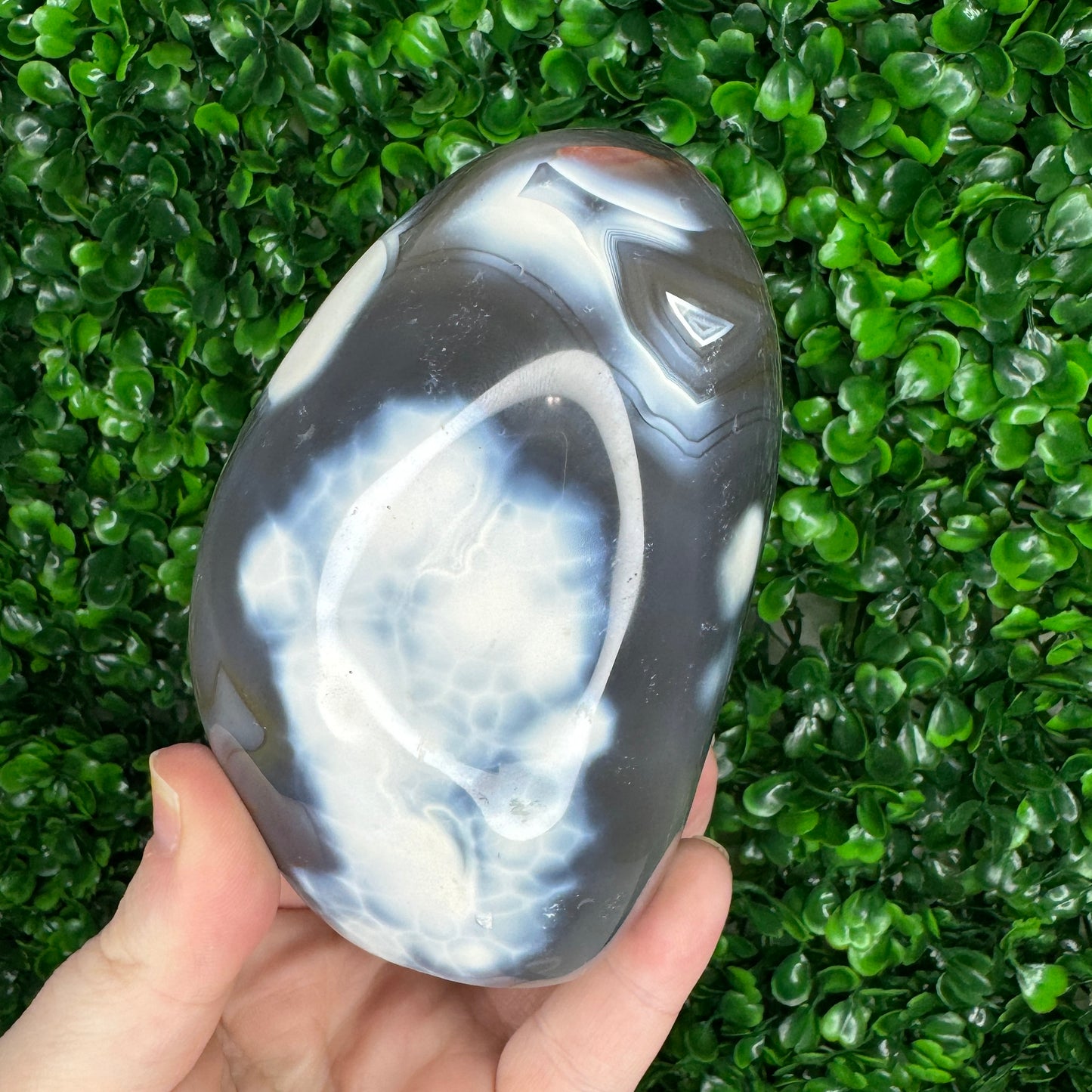 Orca Agate Freeform