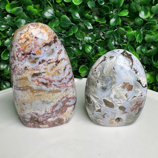 Sea Jasper Freeforms