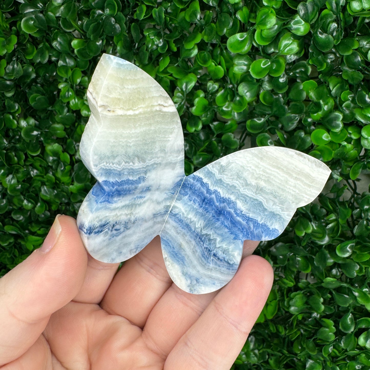 Blue Scheelite 3D Butterfly Carving