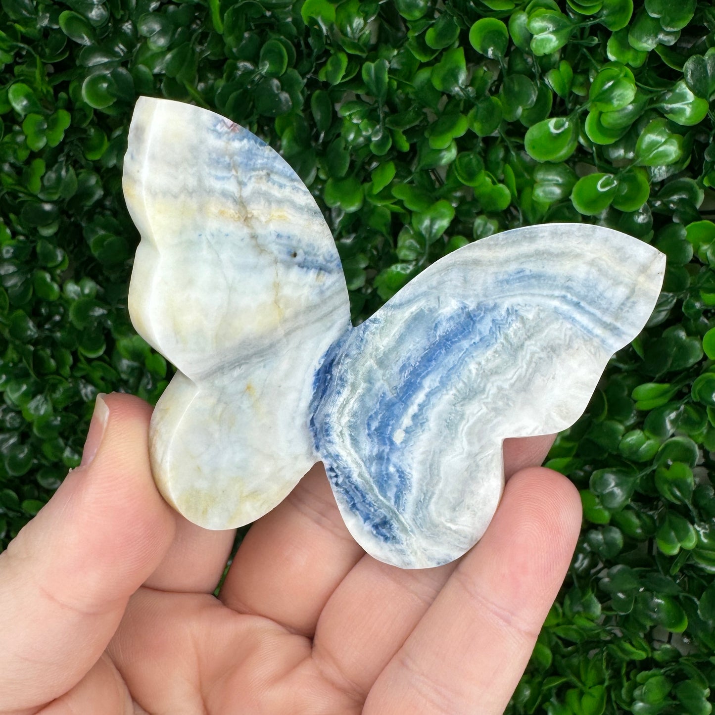 Blue Scheelite 3D Butterfly Carving