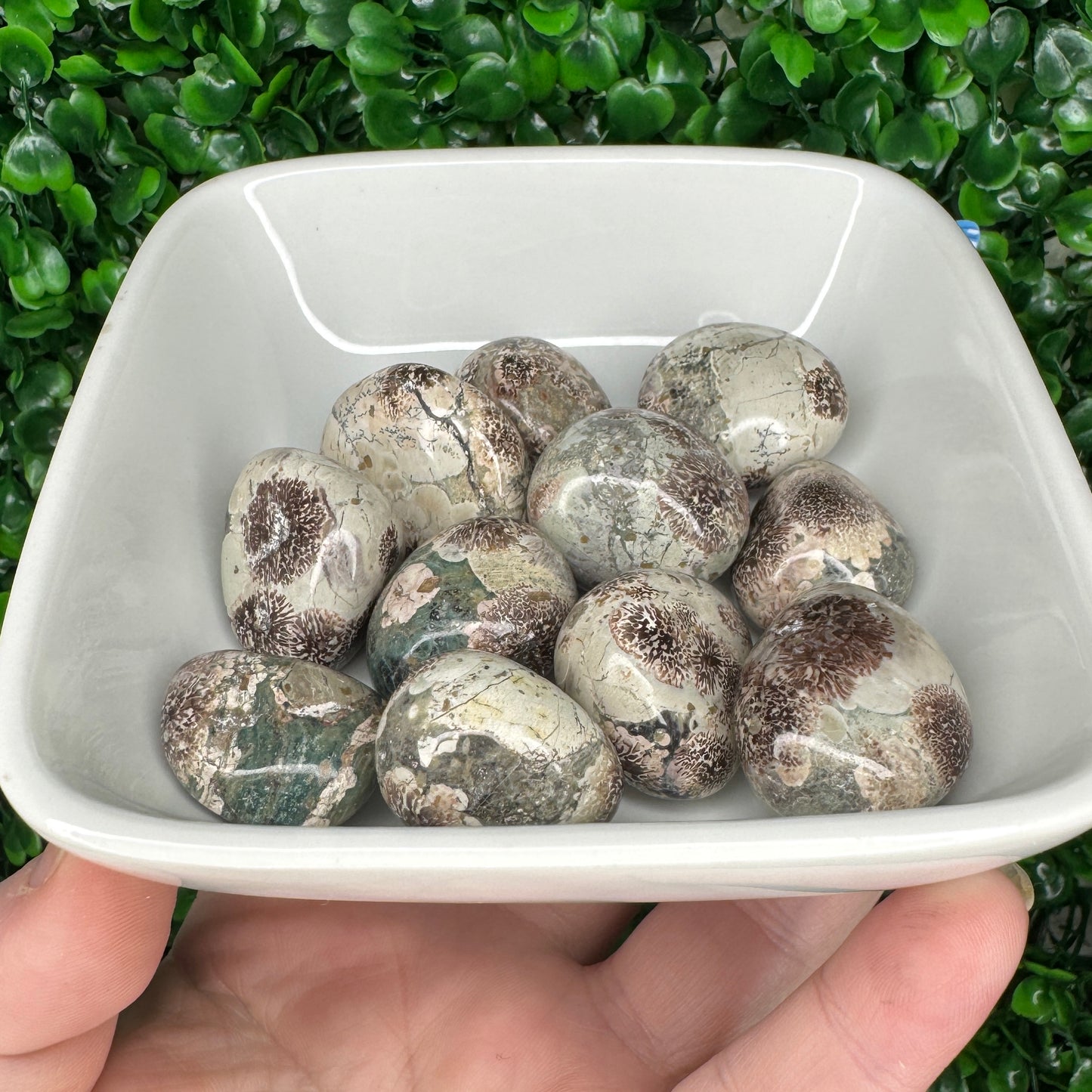 Green Sakura Jasper Tumble