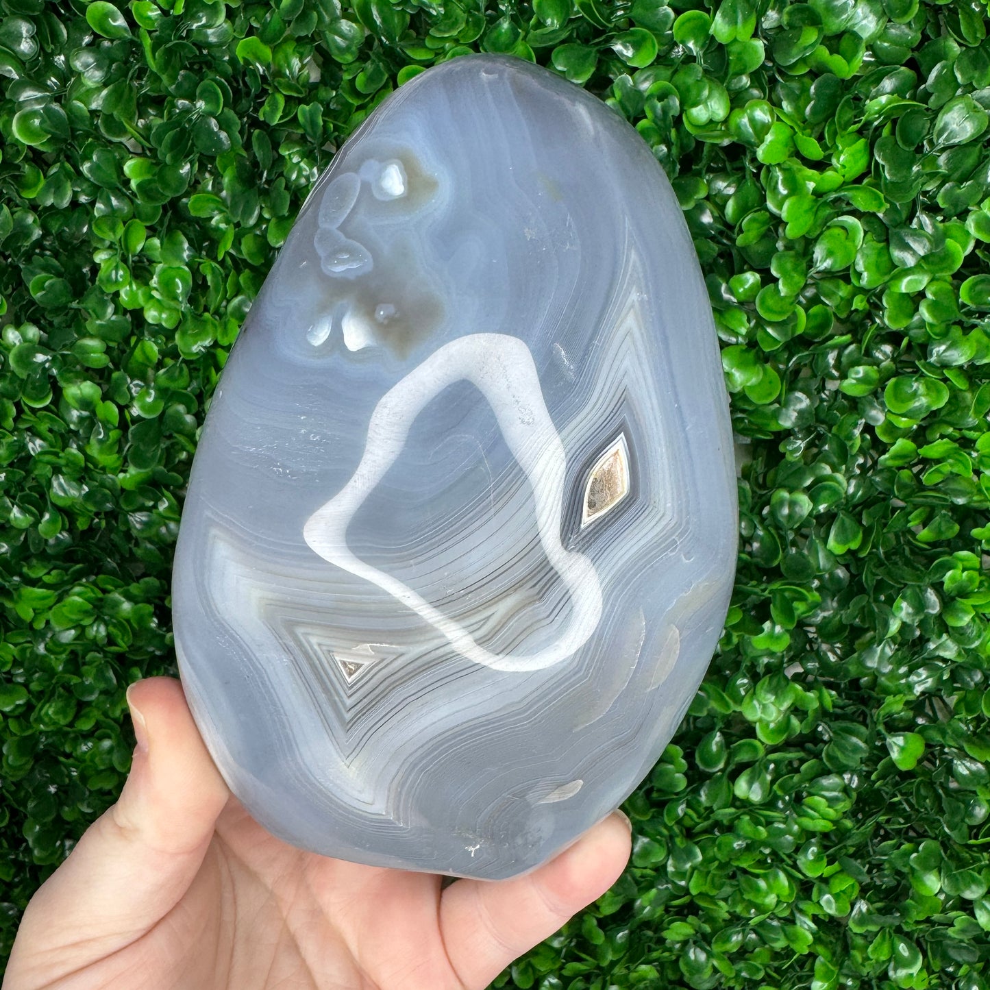 Orca Agate Freeform