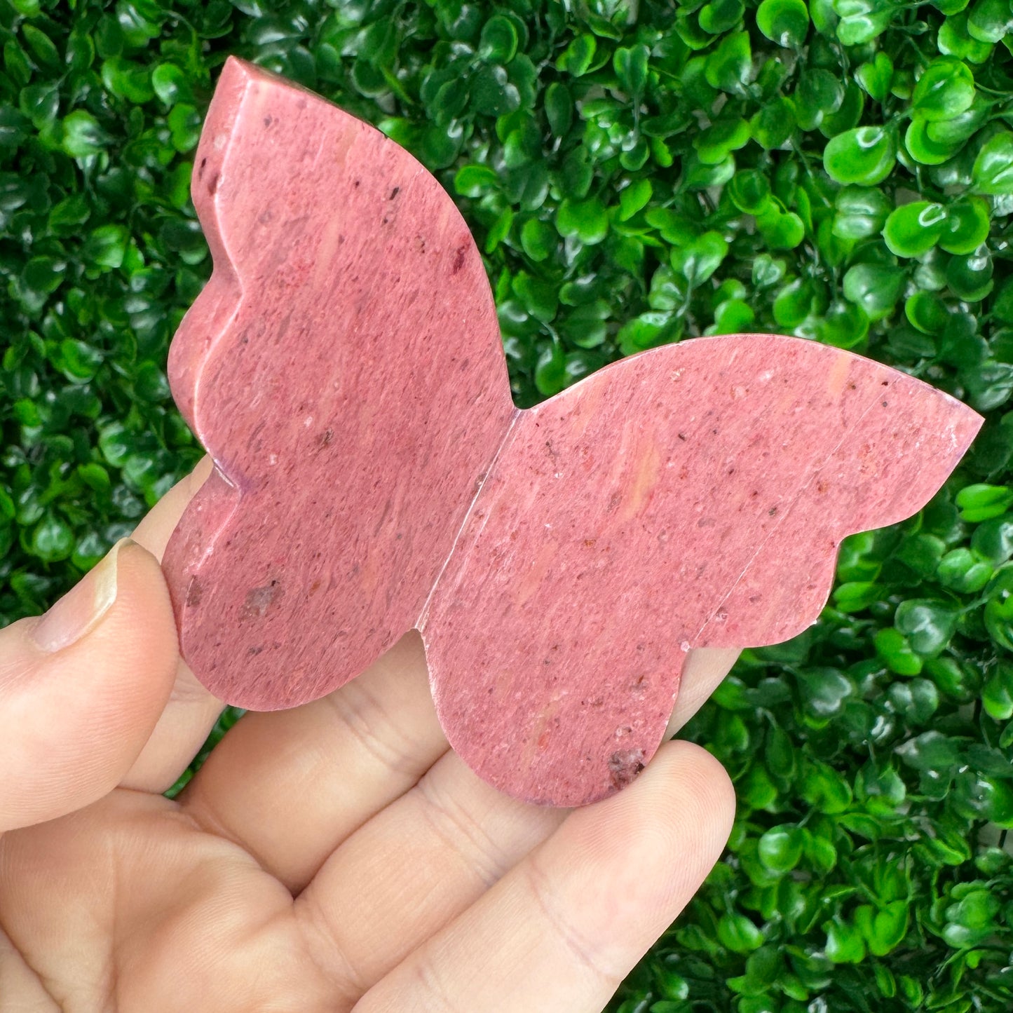 Pink Petrified Wood 3D Butterfly Carving