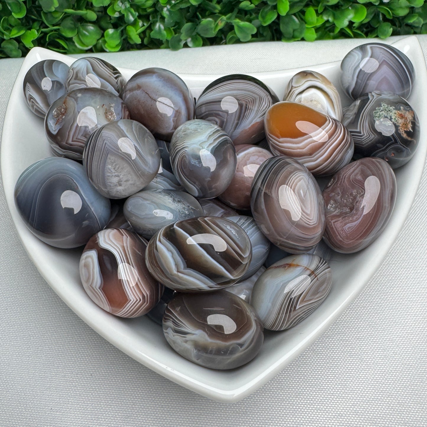 Botswanna Agate Tumbles with Parallax