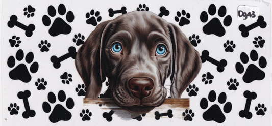 DG43 Dog Paw Prints Bones UVDTF Wrap